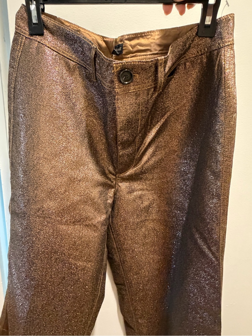 Madewell Metallic Bronze Glitter Men's Pants